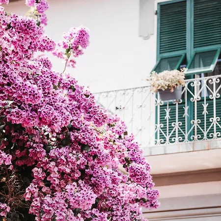 公寓 Casa Elegante In Mezzo Al *